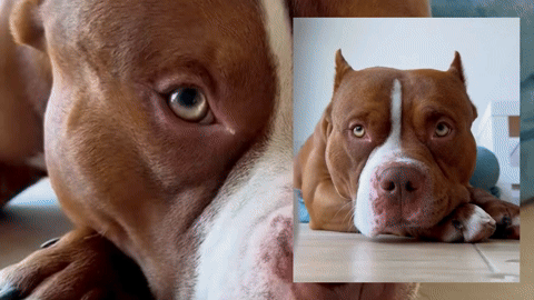 Cliente satisfecho 2